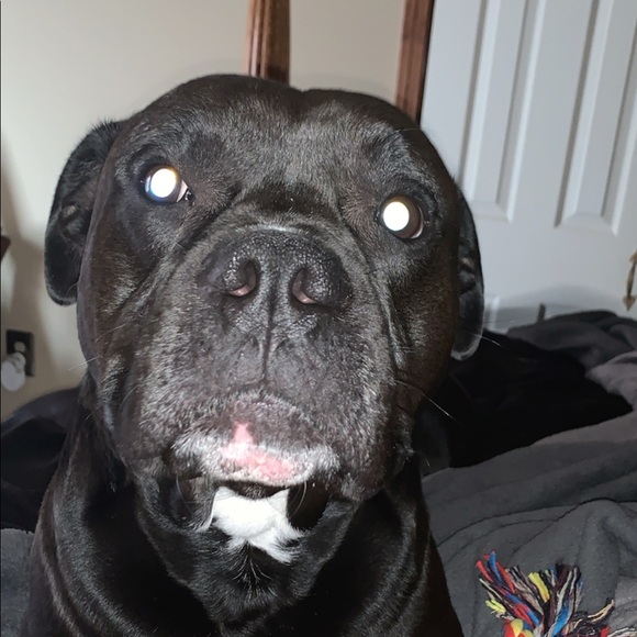 Meet your Posher, Steven - Picture 1 of 1